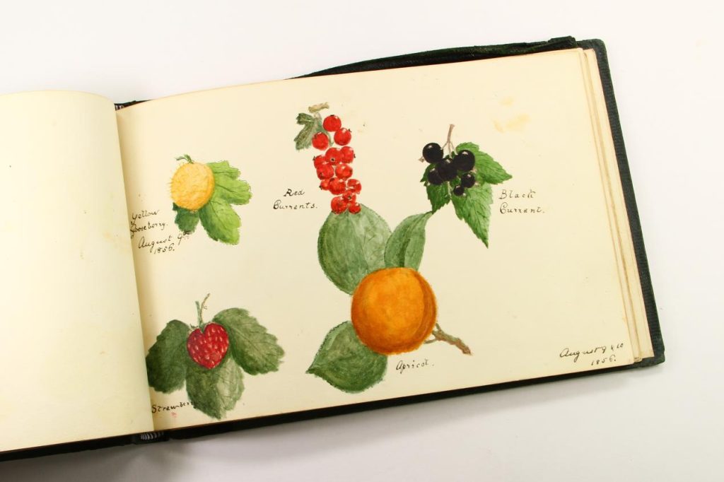 Guildford Museum GJ sketchbook